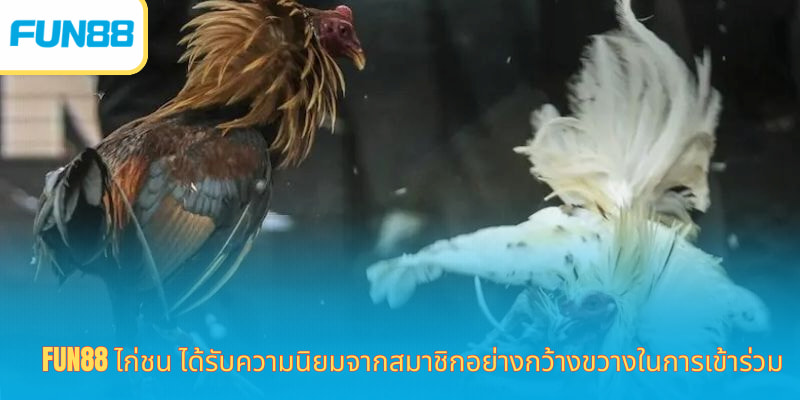 Fun88 ไก่ชนออนไลน์ เดิมพันง่าย ได้เงินจริง Fun88 ไก่ชน ได้รับความนิยมจากสมาชิกอย่างกว้างขวางในการเข้าร่วม